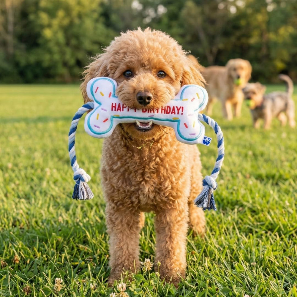 PAWTY Jouet doux et sûr, conçu pour mordiller sans danger.