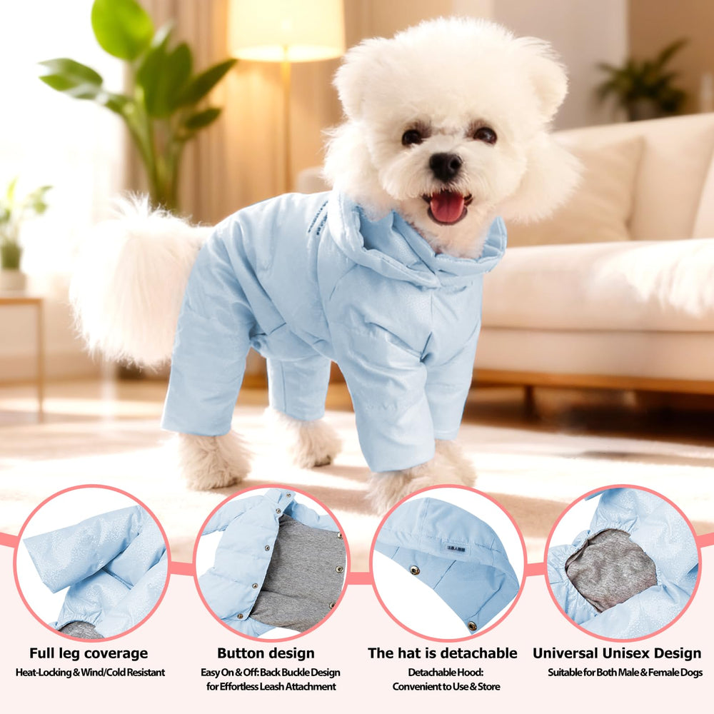 Harnais intégré PawUnion facilitant promenades sans enlever le manteau
