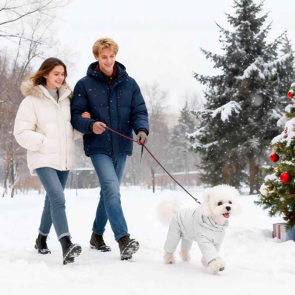 Manteau PawUnion taille XL argent adapté aux chiens moyens à grands