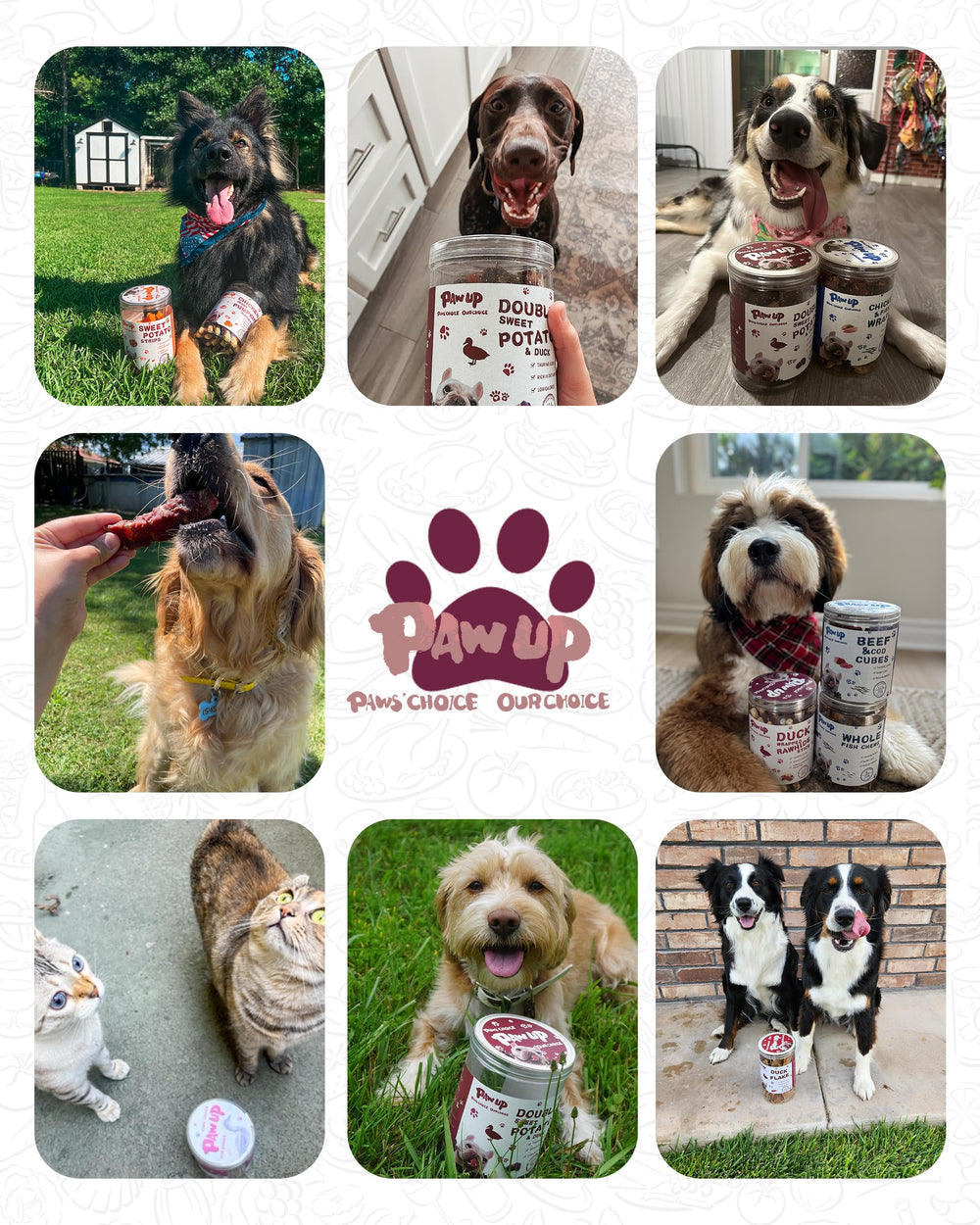PAWUP Convient aux chiens petits et moyens, friandise digeste
