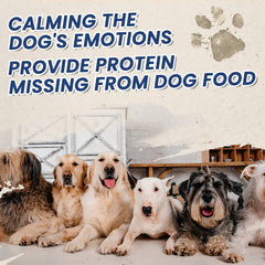 PAWUP cubes sans gluten et sans cuir, adaptés à divers chiens