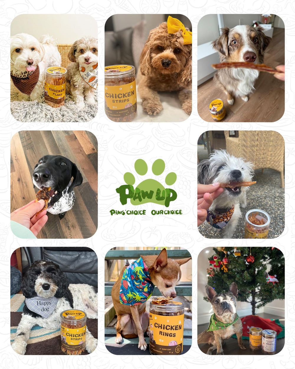 PAWUP friandises poulet séché : emballage pratique, 12 onces, idéal pour les sorties.