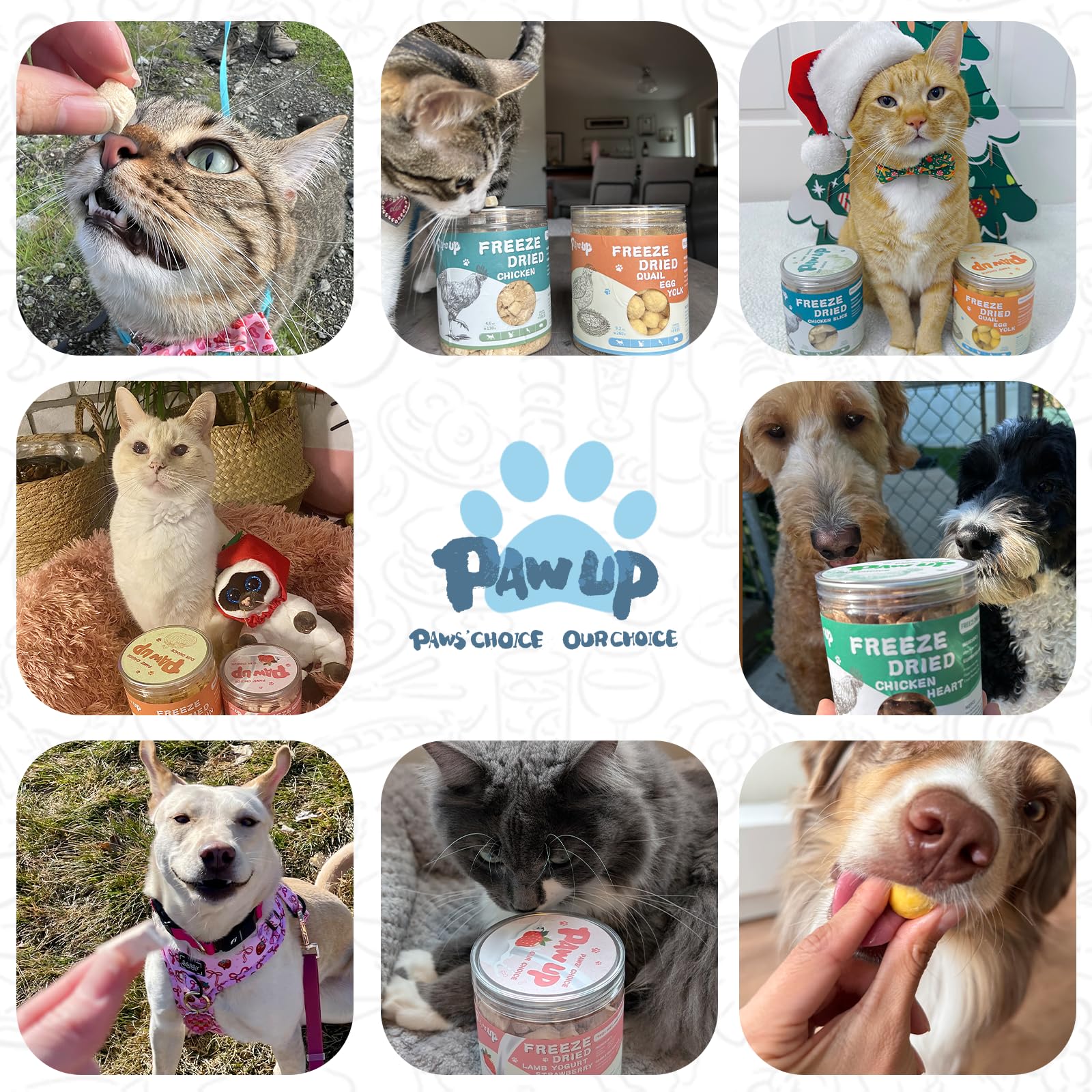 PAWUP format pratique 79 g, facile à partager avec votre chien.