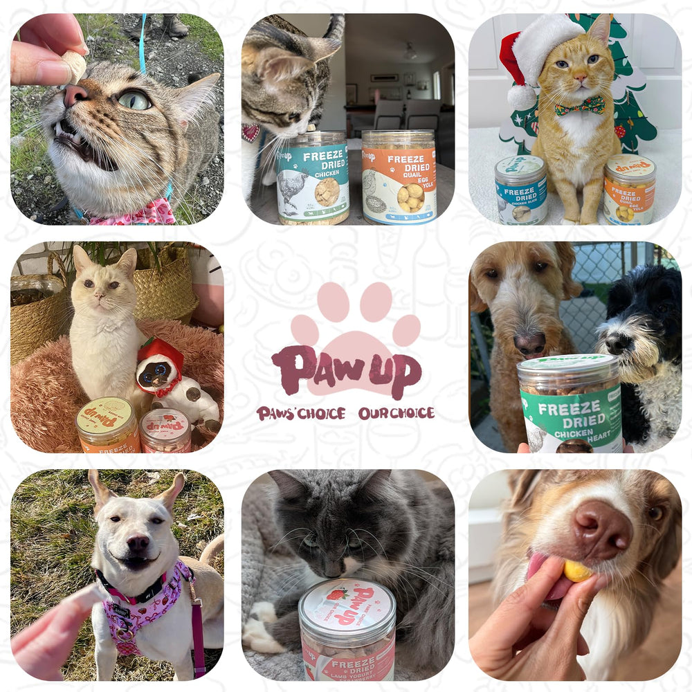 PAWUP friandise lyophilisée yaourt chèvre fraise, conserve les nutriments essentiels.