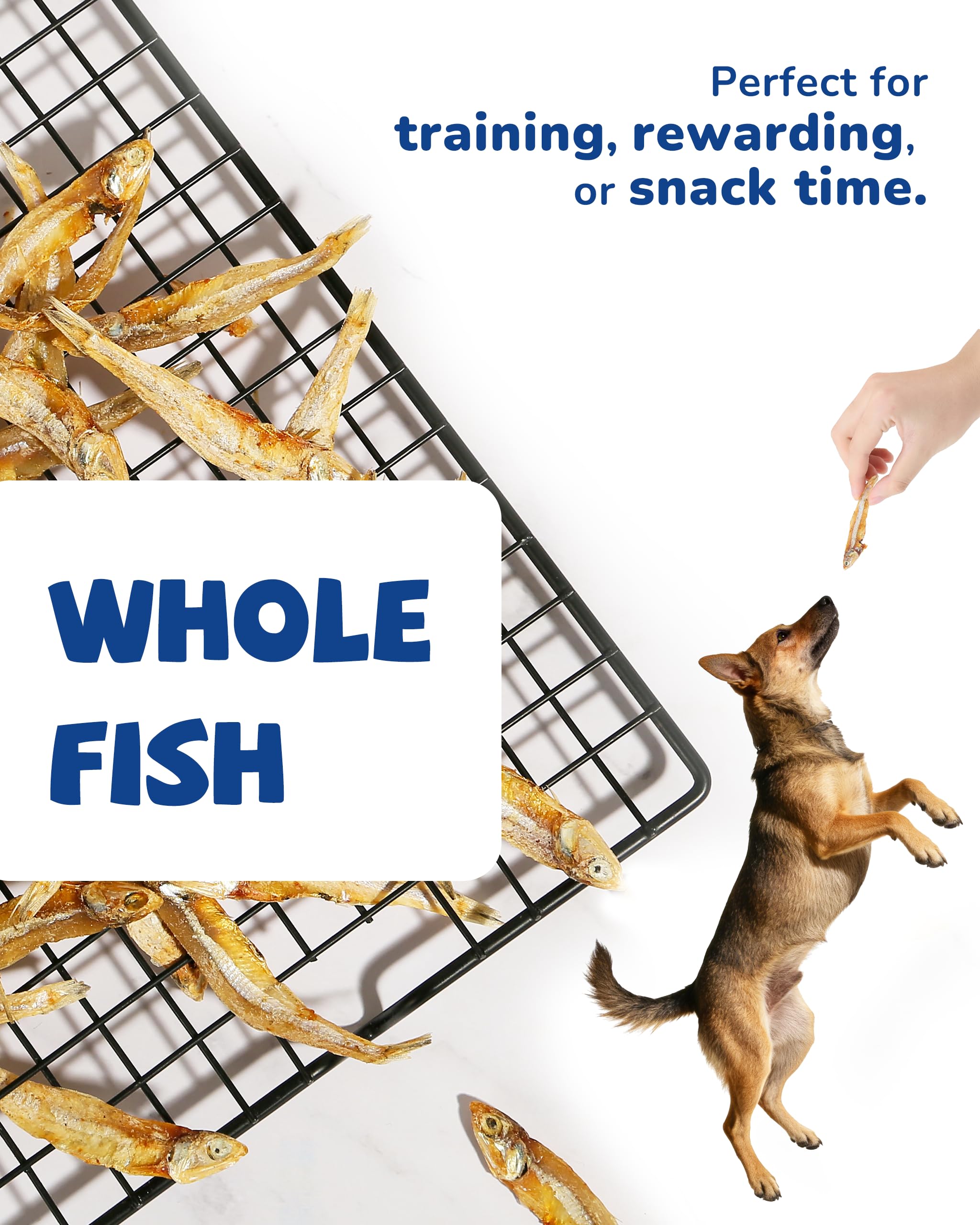 PAWUP friandise omega-3 et huile de poisson visibles sur la surface