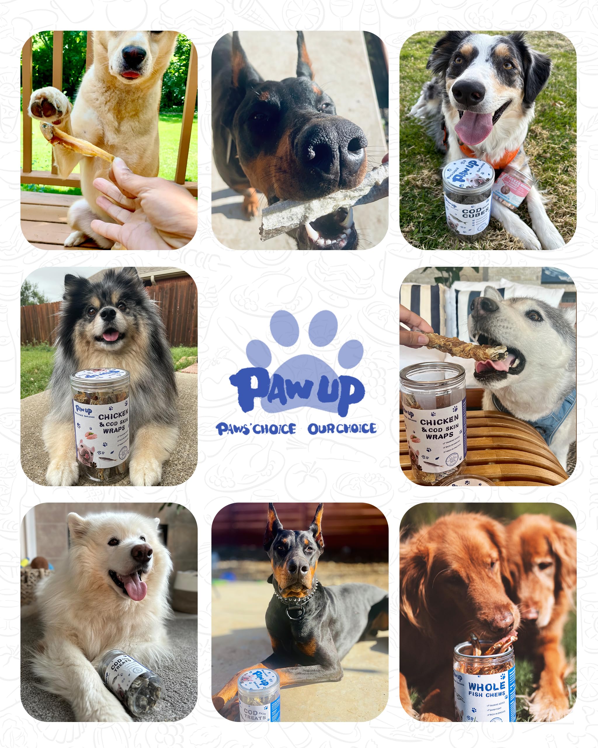 PAWUP récompense idéale pour petits et moyens chiens
