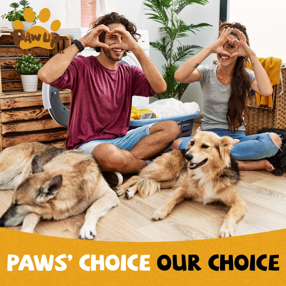 PAWUP récompense interactive favorisant le lien pendant les séances