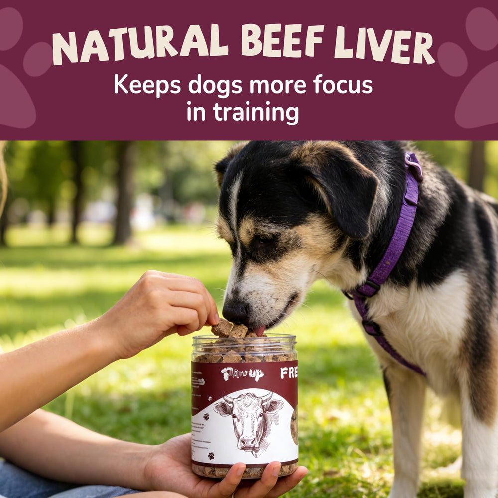 PAWUP friandise sans gluten foie boeuf seche, option naturelle pour les repas.