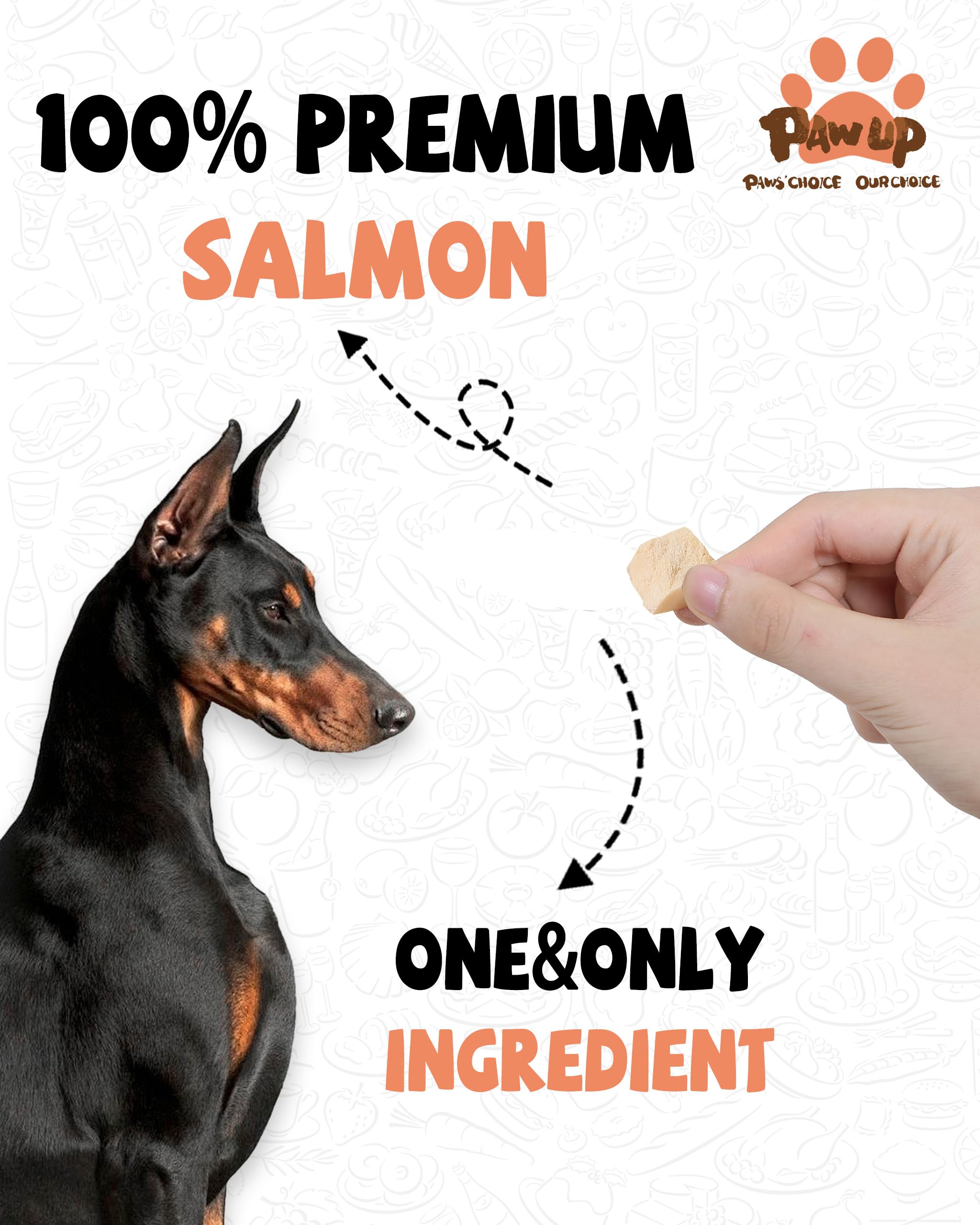 PAWUP saumon lyophilise – friandise d entrainement riche en proteines.