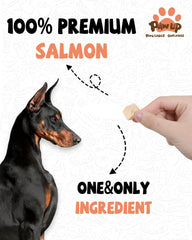 PAWUP saumon lyophilise – friandise d entrainement riche en proteines.