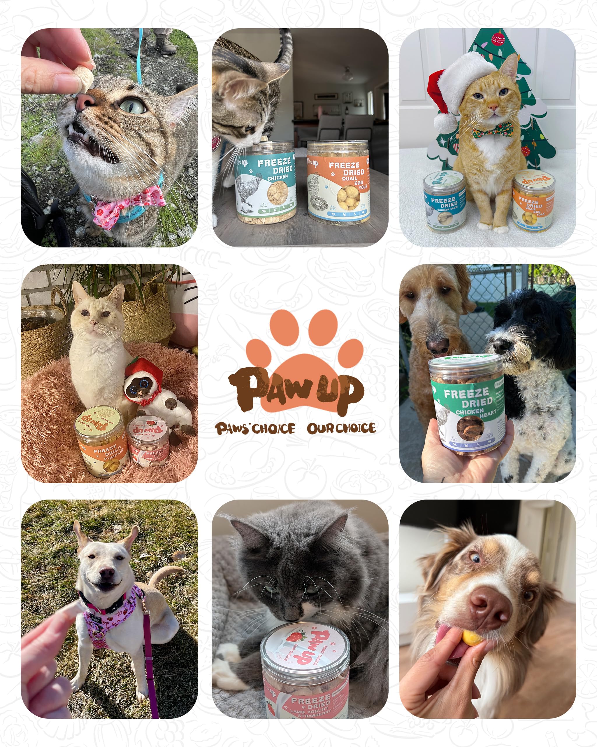 PAWUP saumon lyophilise – proteines essentielles pour chiens et chats.