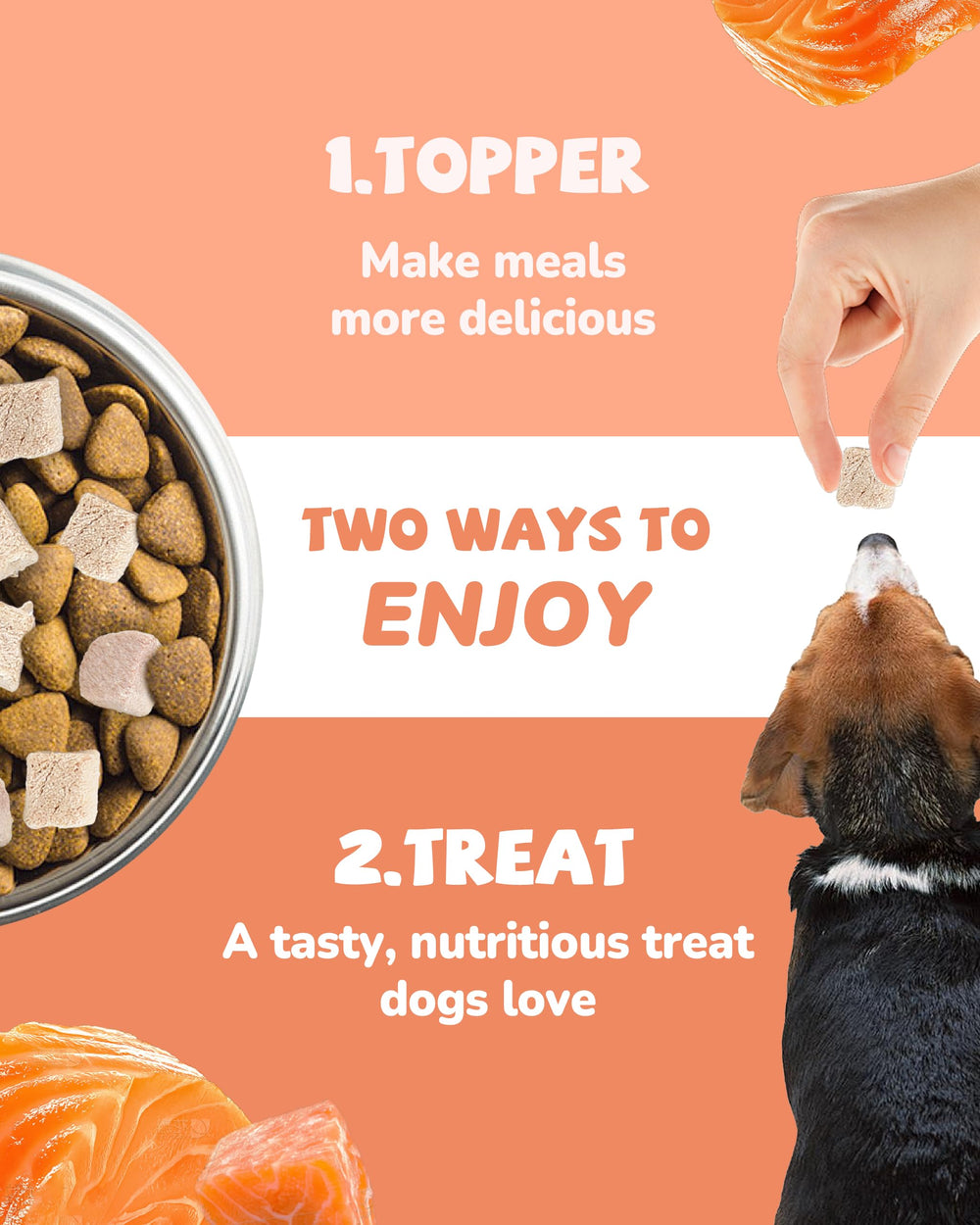 PAWUP saumon lyophilise – potentiel de retention des nutriments élevé.