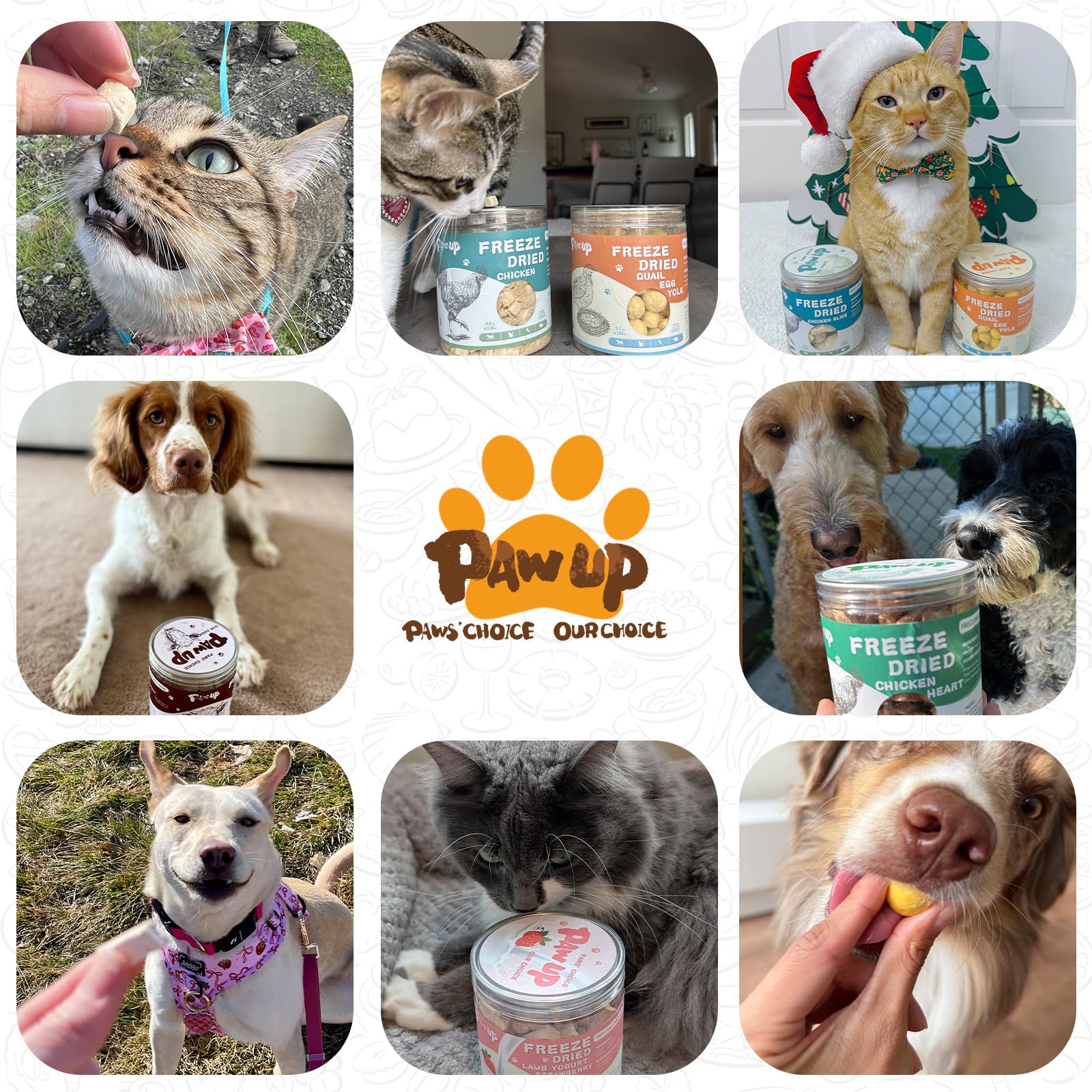 PAWUP topping nourriture foie, realise une experience appetente pour le repas.
