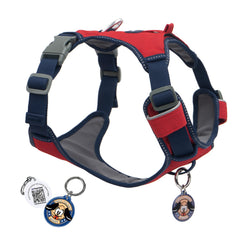 Harnais PawView anti-traction avec attache avant pour diriger sans tirer.