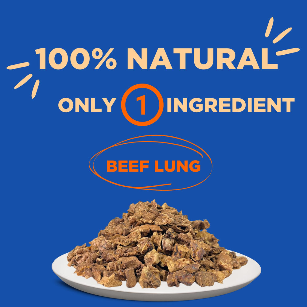 PAWW CHEW poumon-boeuf tranche seche, gros plan sur texture