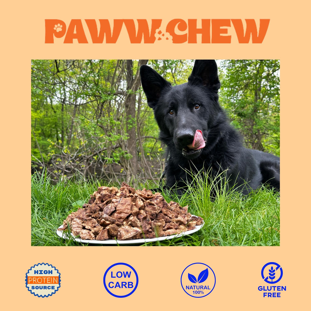 Paww Chew Poumon Boeuf fabriqué aux États‑Unis, origine traçable et qualité.