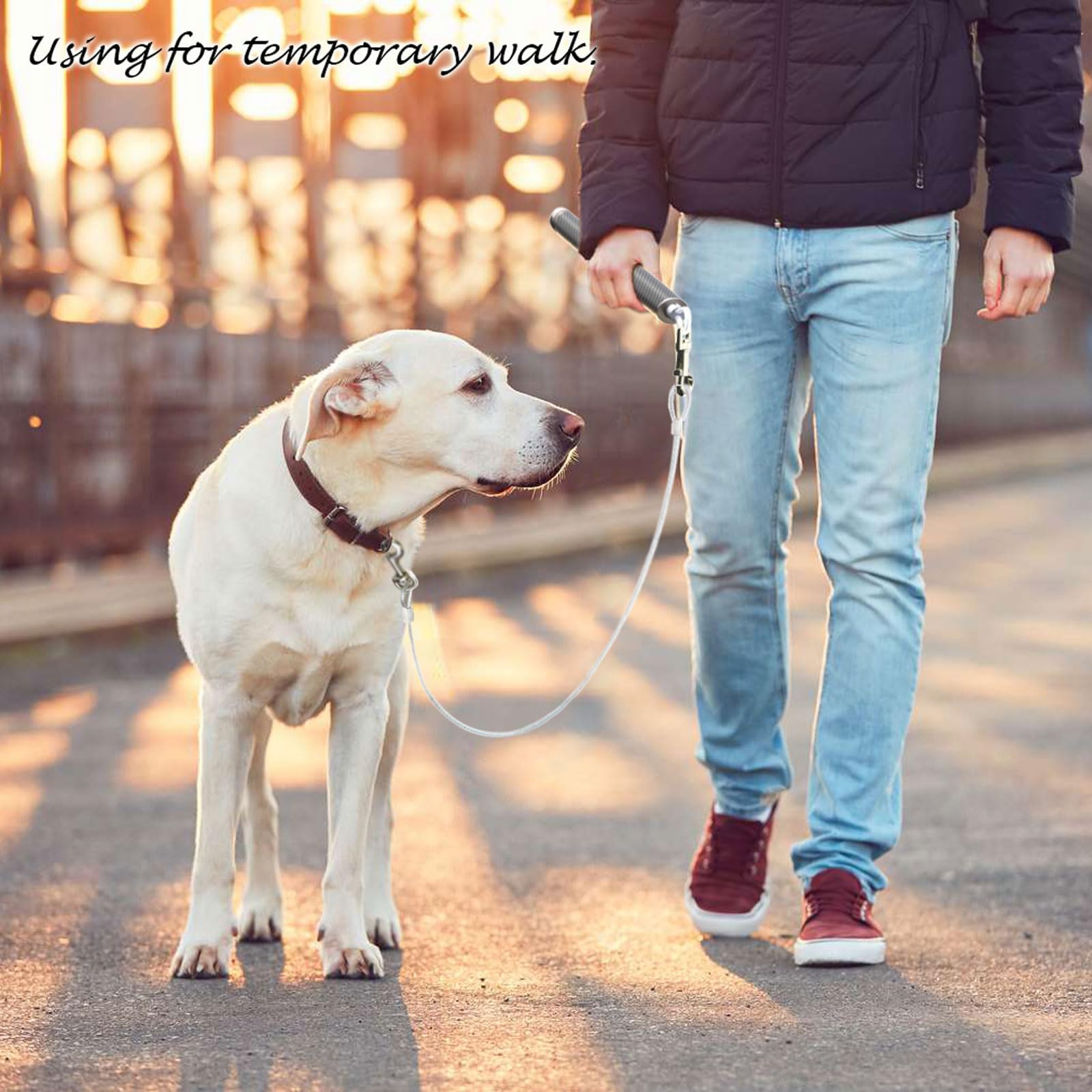 Pawxaw Compatibilité avec la plupart des vélos et harnais.