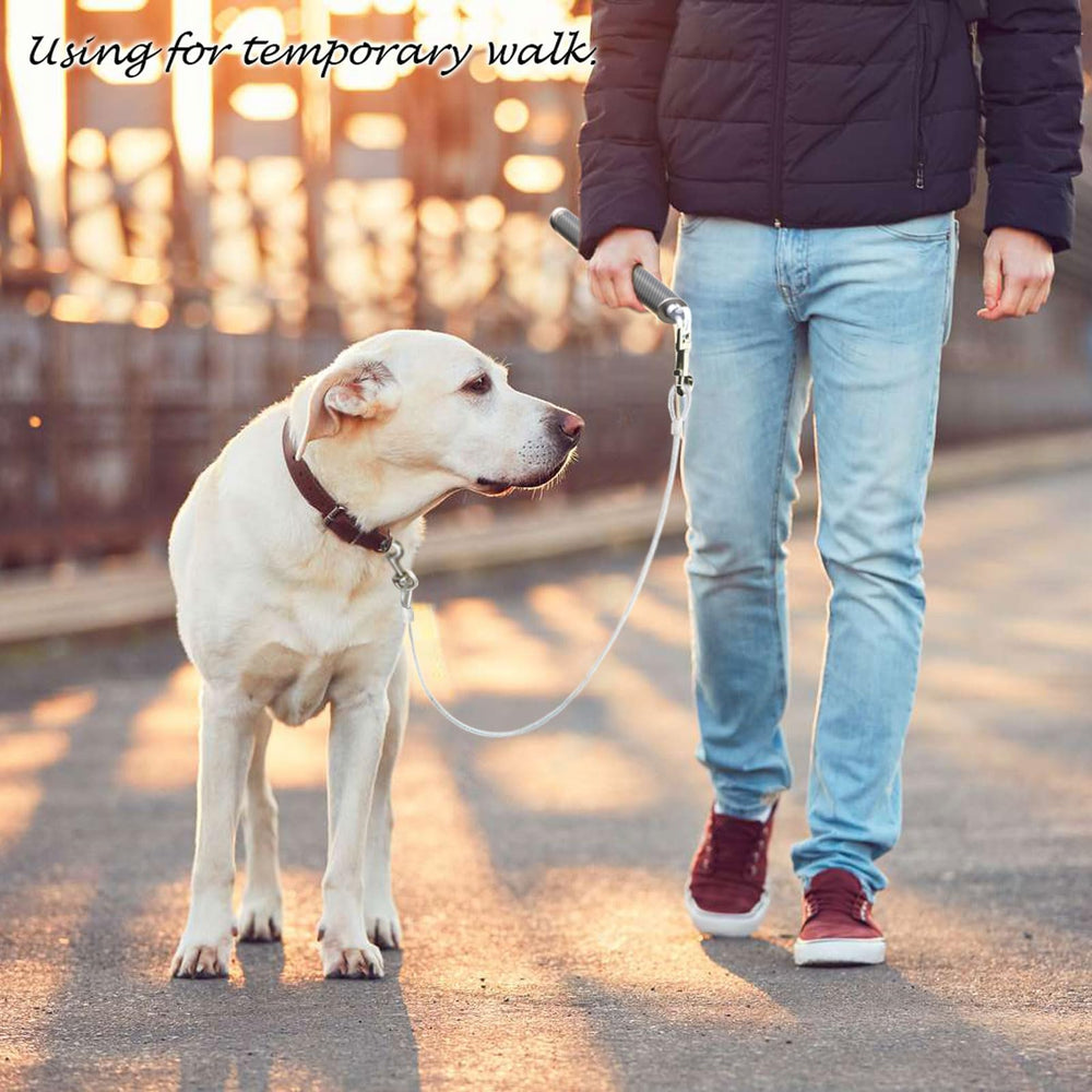 Pawxaw Compatibilité avec la plupart des vélos et harnais.