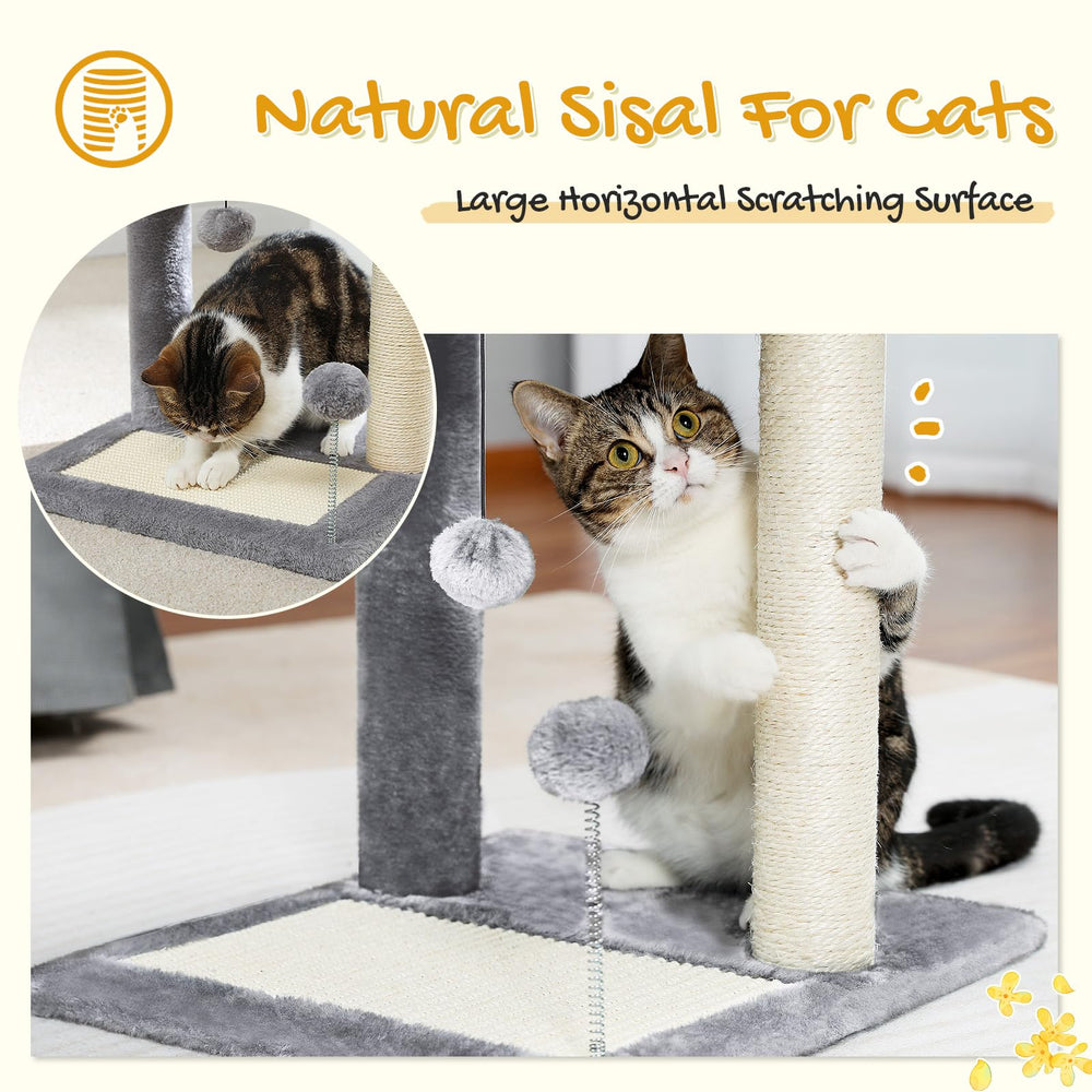 PAWZ Road balle haute suspendue favorise l'interaction et le jeu
