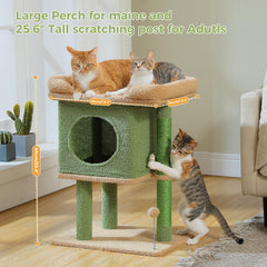 PAWZ Road Arbre cactus 26 pouces condo privé pour moments de repos privés.