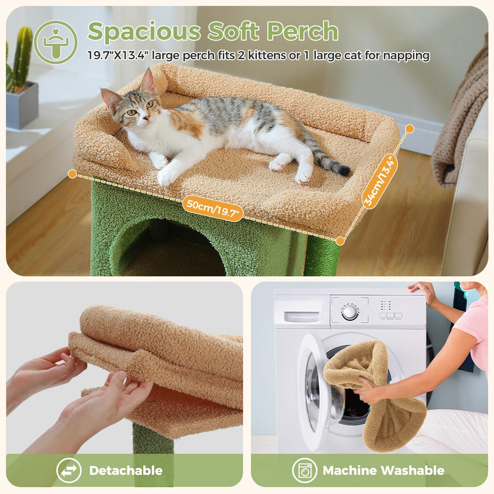 PAWZ Road Arbre cactus 26 pouces niche intérieure idéale pour retraite discrète.