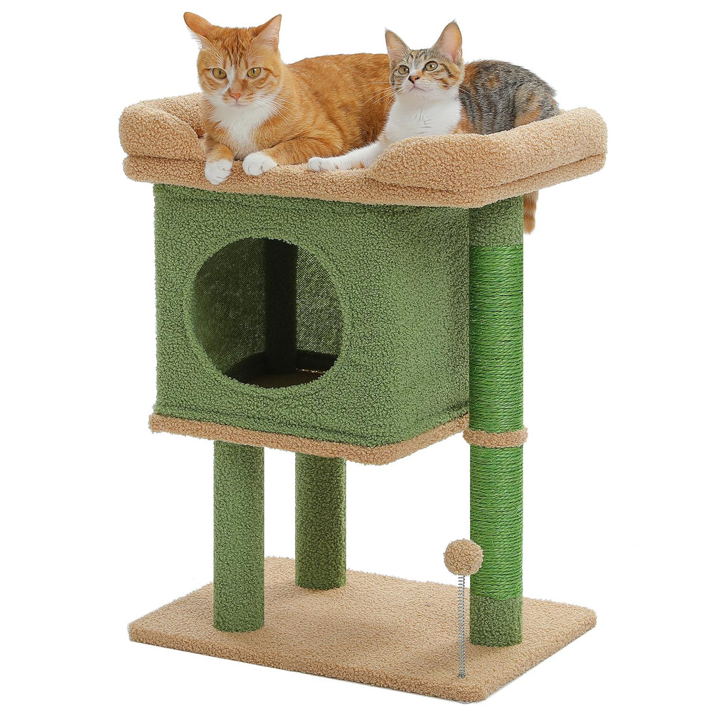 PAWZ Road Arbre cactus 26 pouces grand perchoir pour repos confortable.