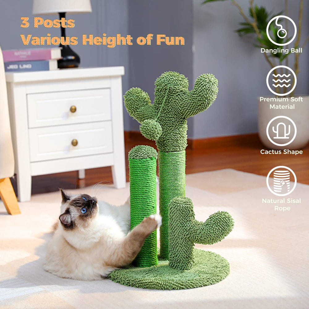 PAWZ Road cactus-assemblage-facile: montage rapide sans outils.
