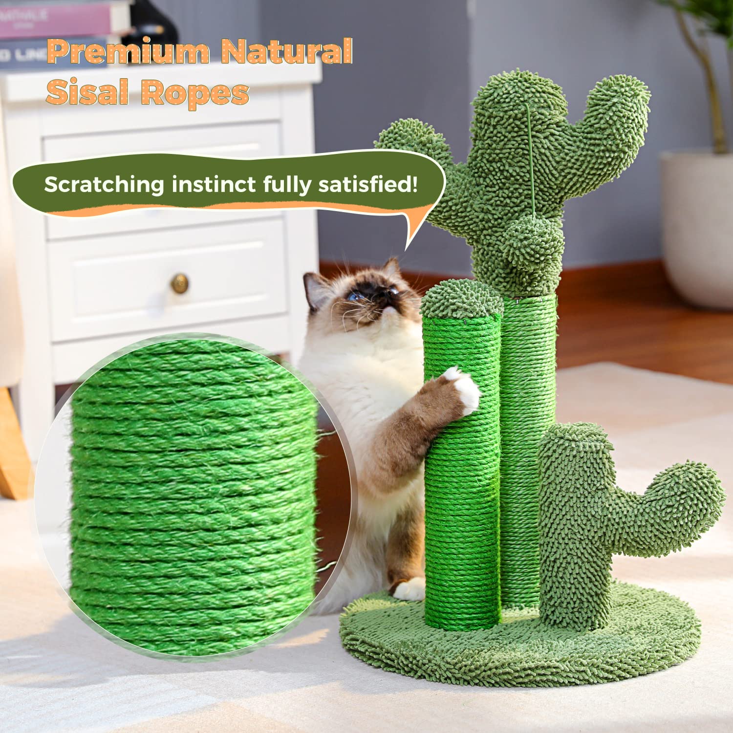 PAWZ Road cactus-decor-design-moderne: s'intègre à la déco intérieure.