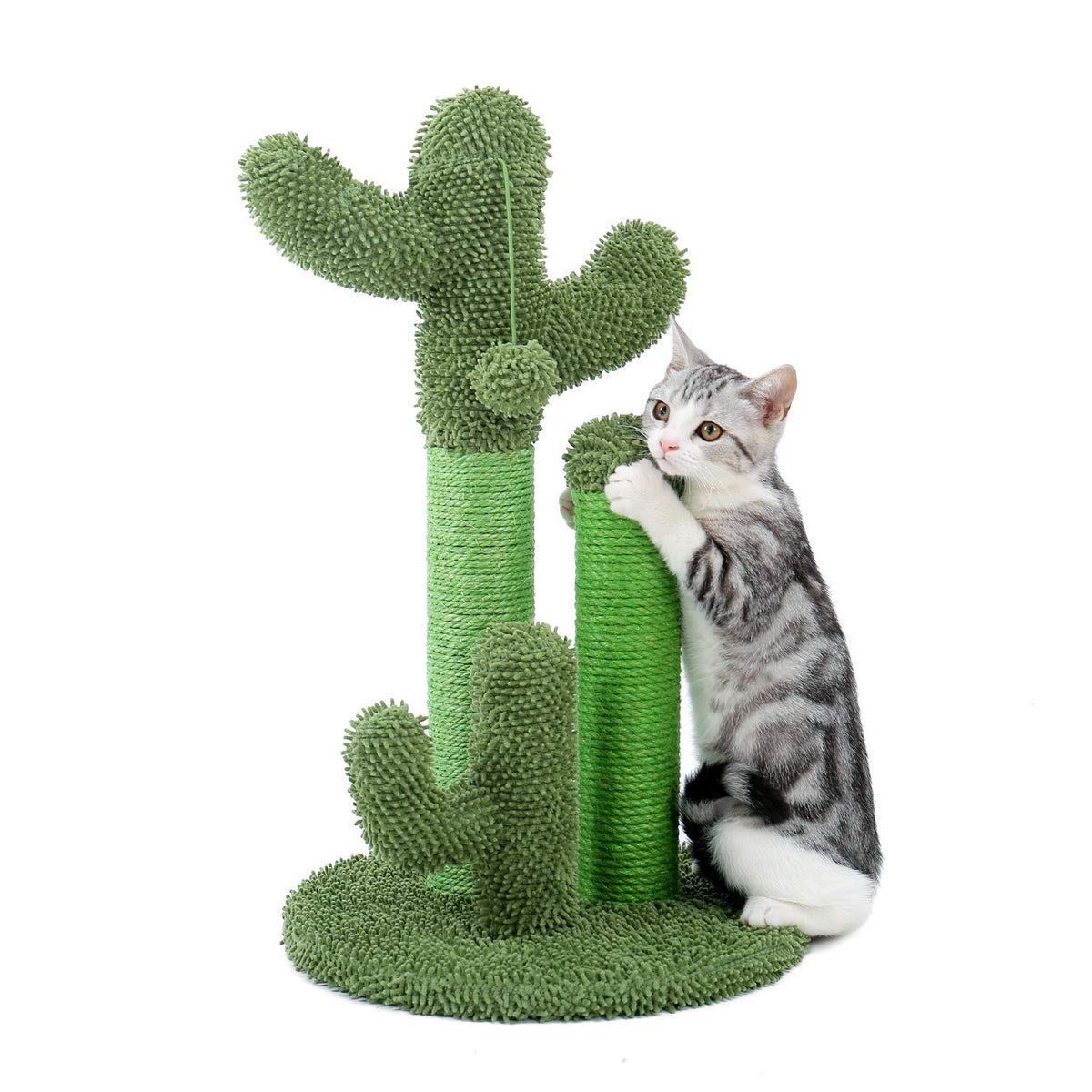 PAWZ Road cactus-postes-3-tiges-base-ronde: grattage varié et design moderne.