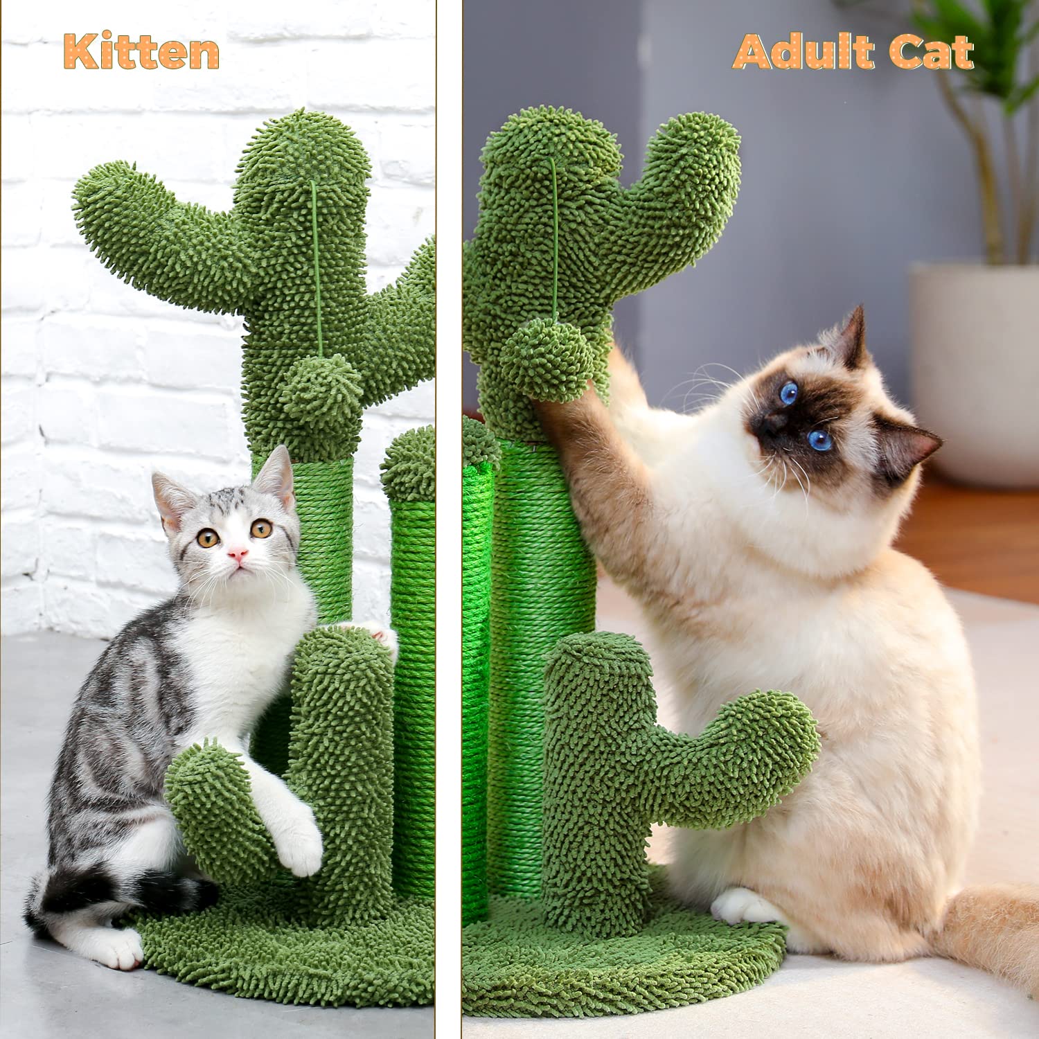 PAWZ Road cactus-utilisation-quotidienne-confort: espace de jeu et repos pratique.