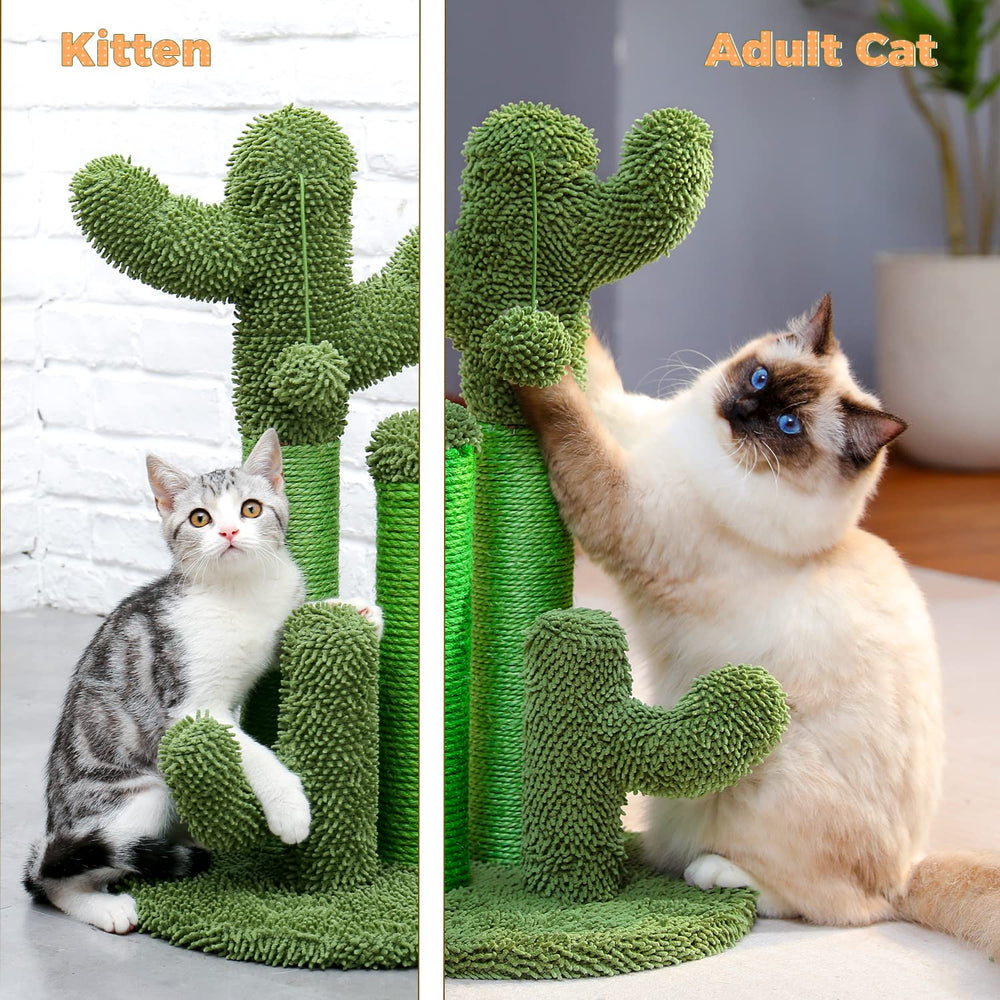 PAWZ Road cactus-utilisation-quotidienne-confort: espace de jeu et repos pratique.