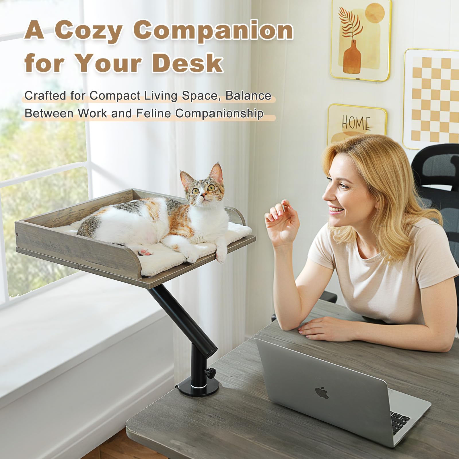PAWZ Road coussin lavable et doux, repos confortable près de l’écran.