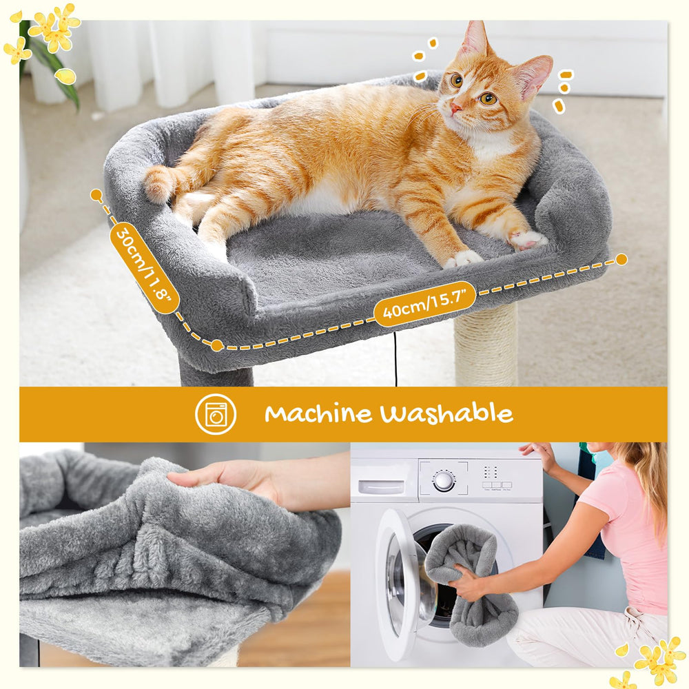 PAWZ Road deux boules douces stimulent le jeu du chat