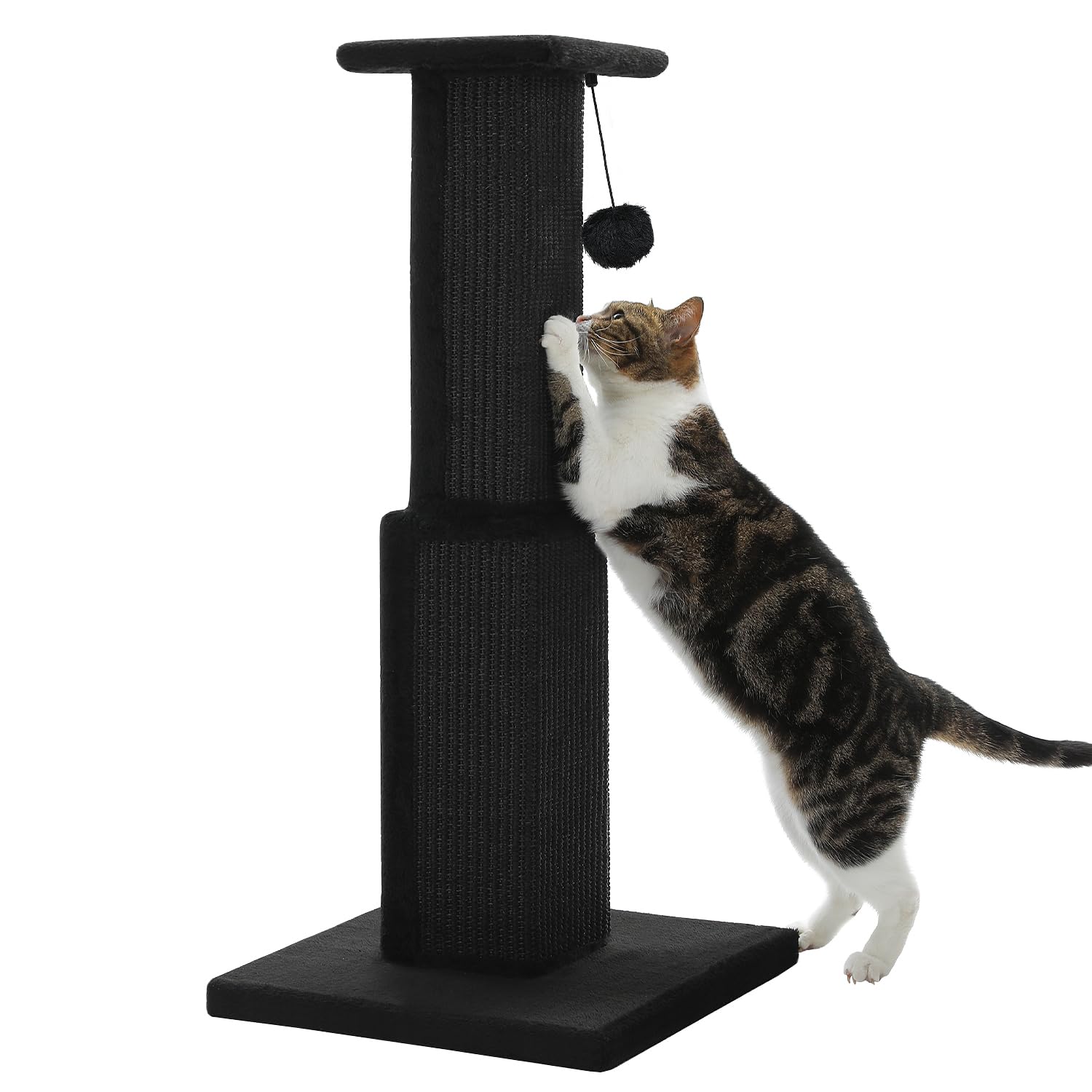 PAWZ Road griffoir chat 81 cm avec base large pour stabilité accrue