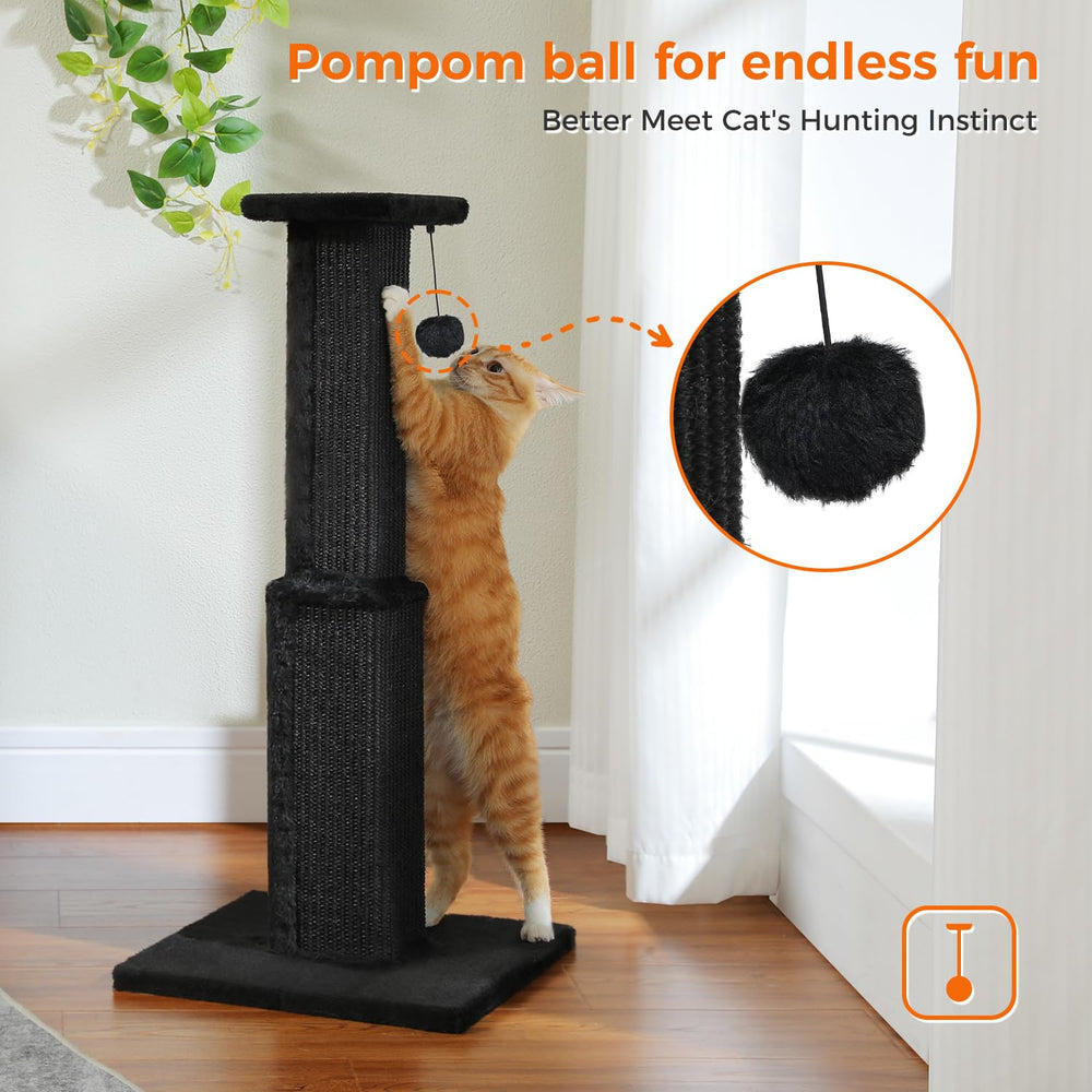PAWZ Road griffoir chat assemblage rapide et simple