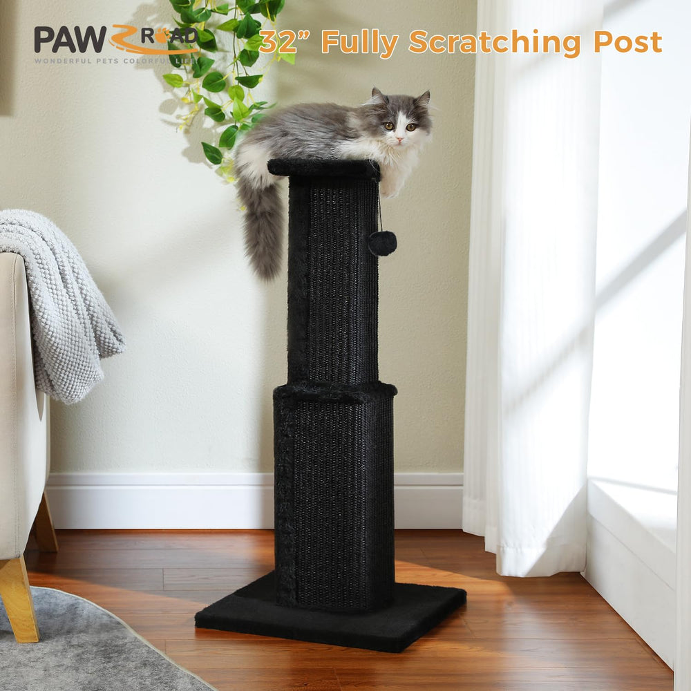 PAWZ Road griffoir chat balle suspendue pour stimulation ludique