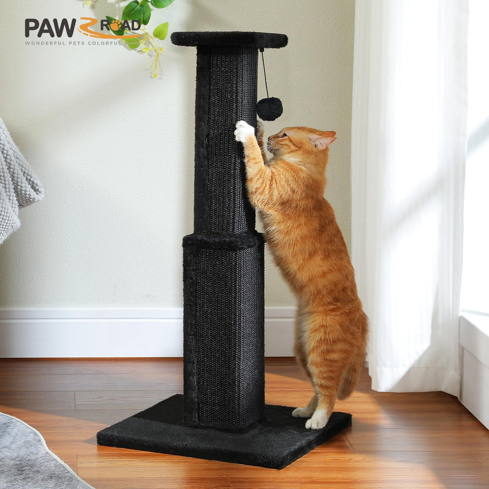 PAWZ Road griffoir chat intérieur, parfait pour chats d'appartement