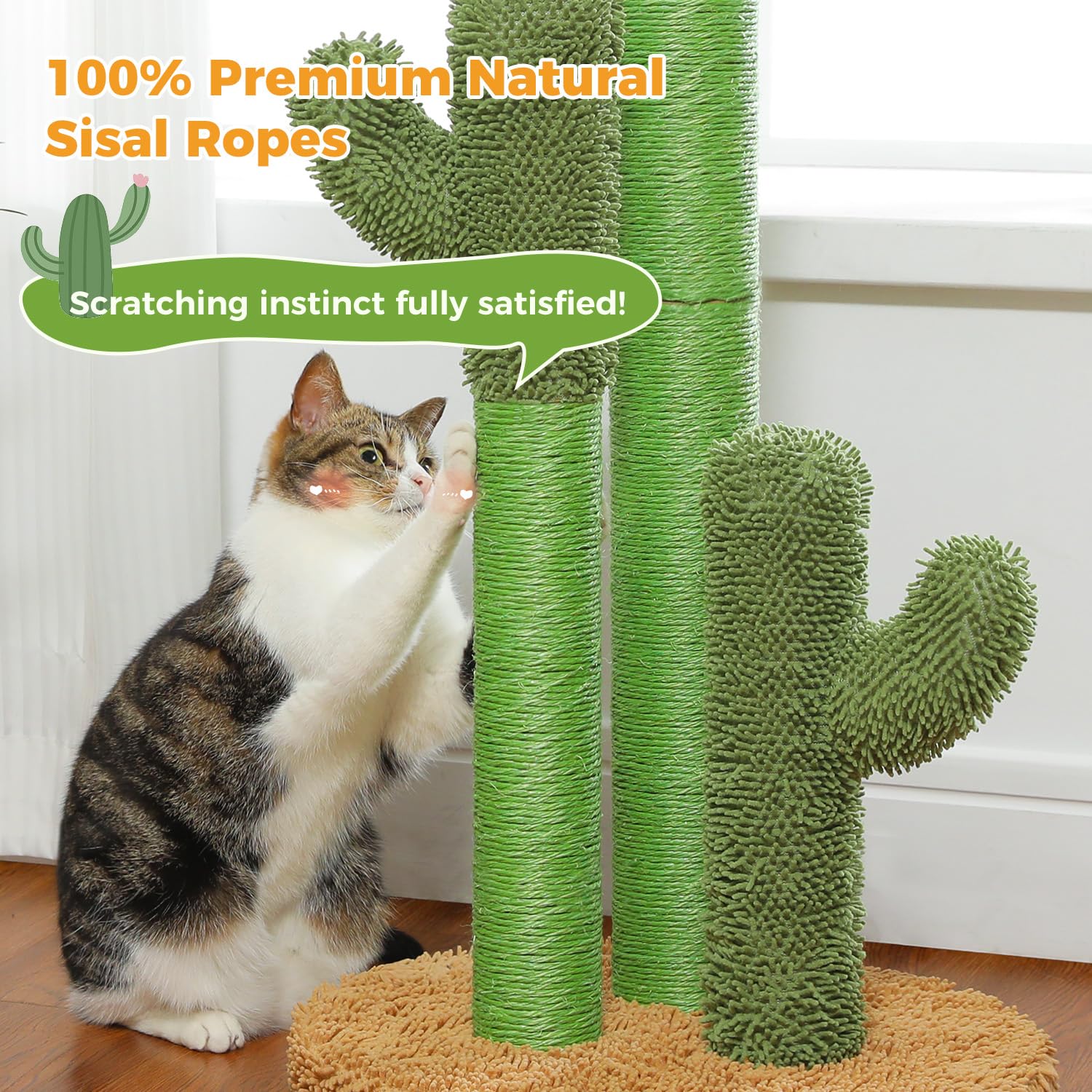 PAWZ Road Jouet pendule stimule le comportement de prédateur et le divertissement.