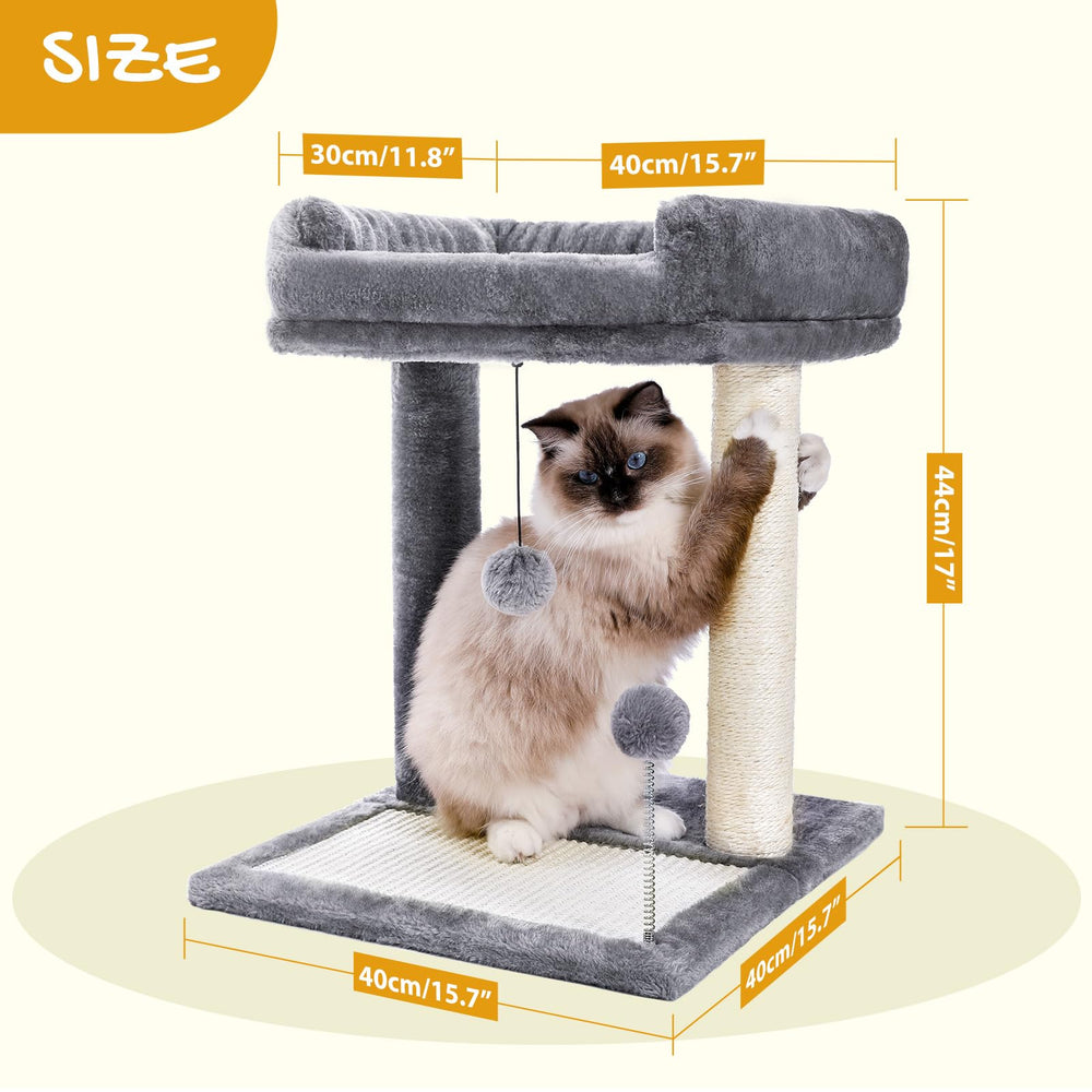 PAWZ Road matériaux sisal naturel pour le grattage durable