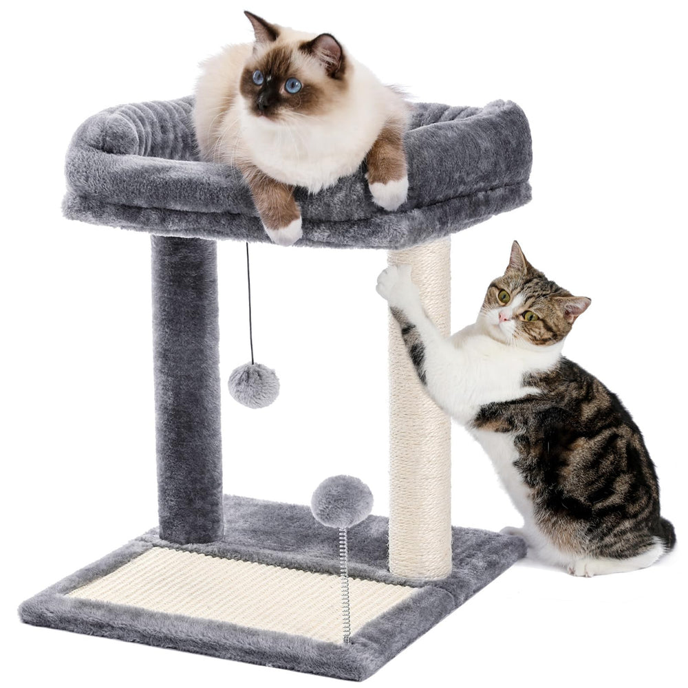 PAWZ Road poteau a griffer pour chat protège les meubles et offre un griffage sûr
