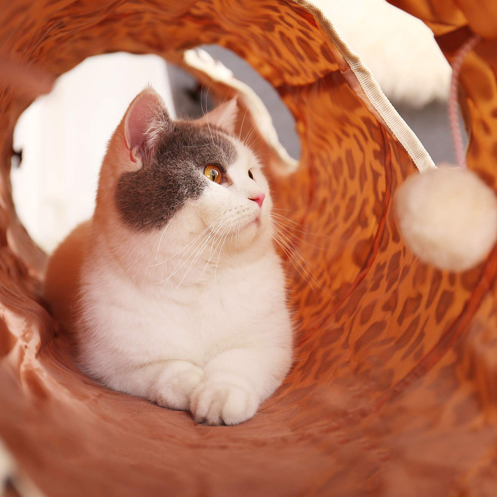 PAWZ Road tunnel portable, montage rapide avec piquets pour intérieur et extérieur.