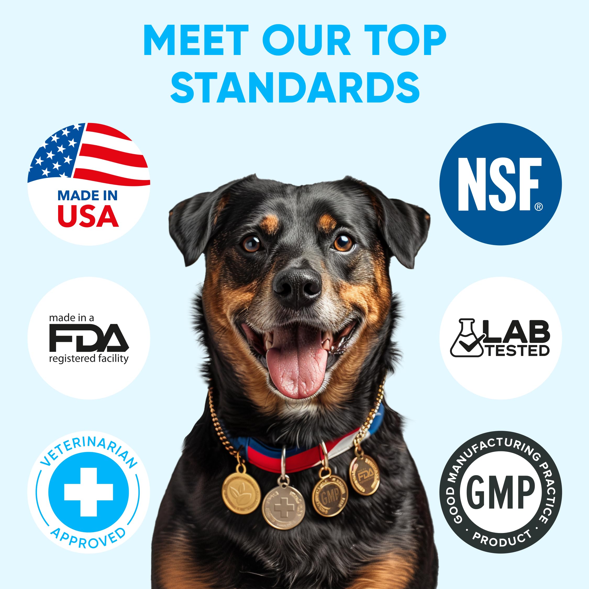 Pawzitive Pets compatibles avec toutes tailles de chiens pour une seule solution.