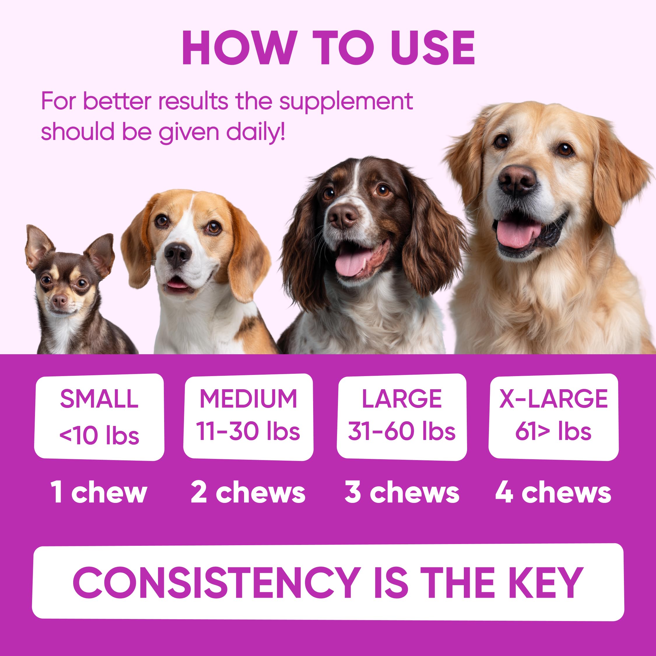 Pawzitive Pets Emballage Durable: emballage respectueux et durable.
