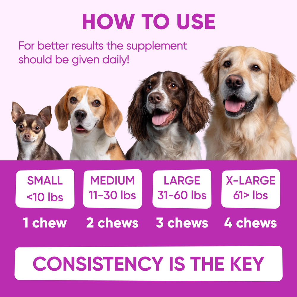 Pawzitive Pets Emballage Durable: emballage respectueux et durable.