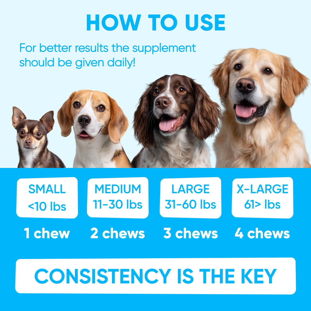 Fabriqué aux États-Unis, Pawzitive Pets garantit qualité et traçabilité.