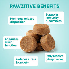 Texture douce des friandises Pawzitive Pets, facile à mâcher pour chiens.