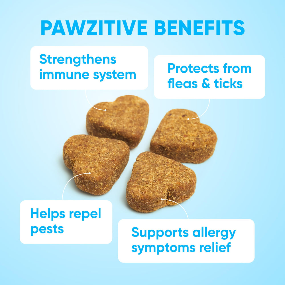 Pawzitive Pets ingrédients: huile de coco, lin, biotine pour pelage brillant.