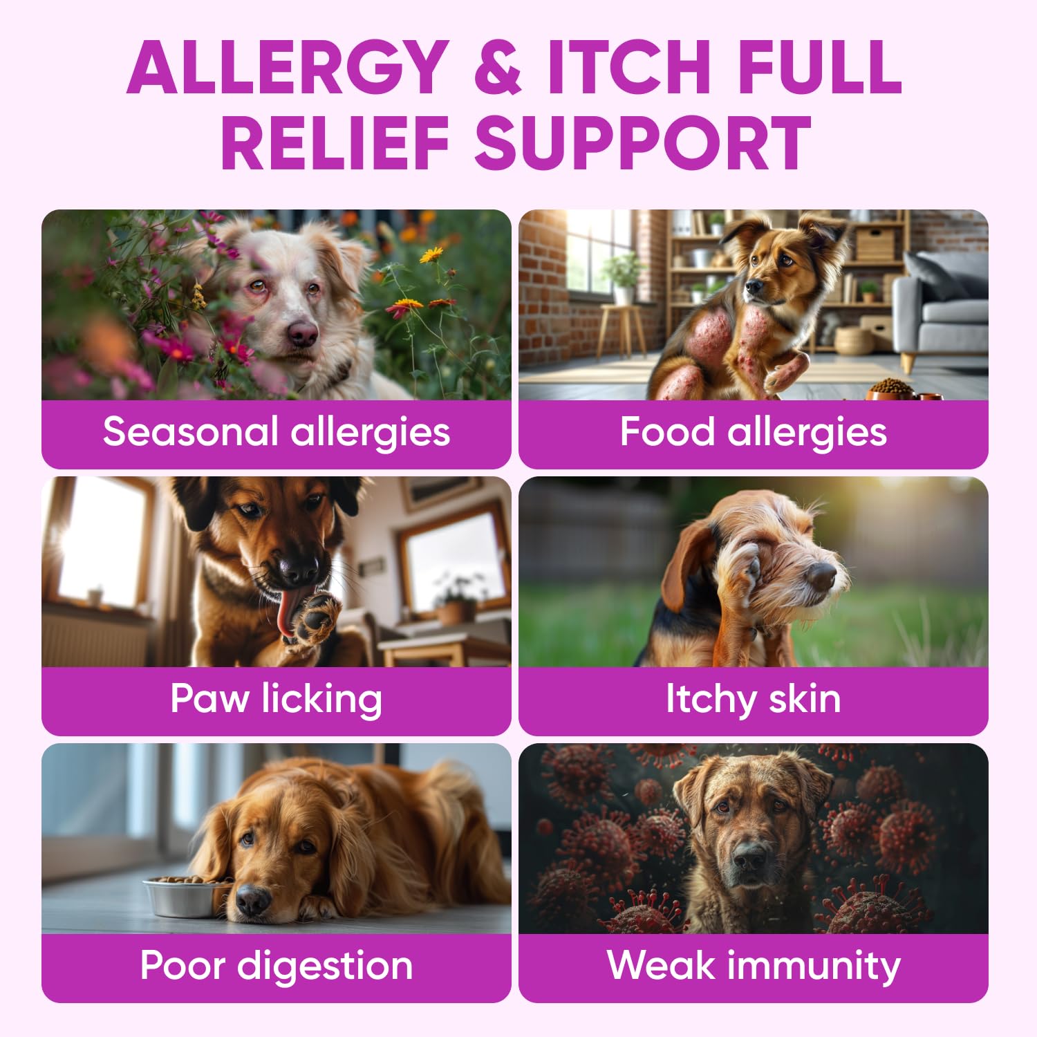 Pawzitive Pets Omega3 Poil Peau Santé: soutient le pelage et la peau.