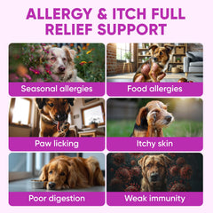 Pawzitive Pets Omega3 Poil Peau Santé: soutient le pelage et la peau.