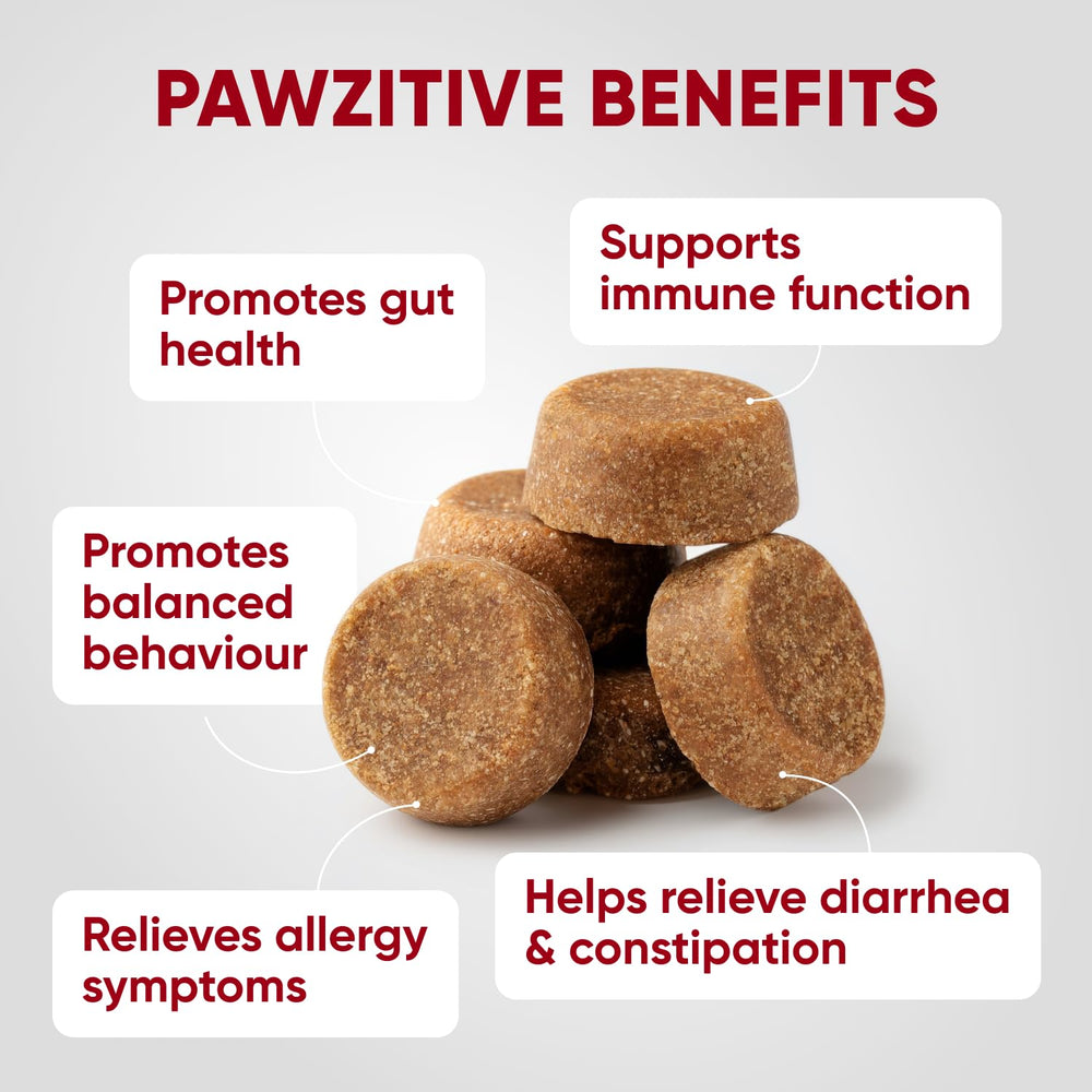 Pawzitive Pets Probiotiques – soin peau et oreilles, soutien possible pour les inconforts.